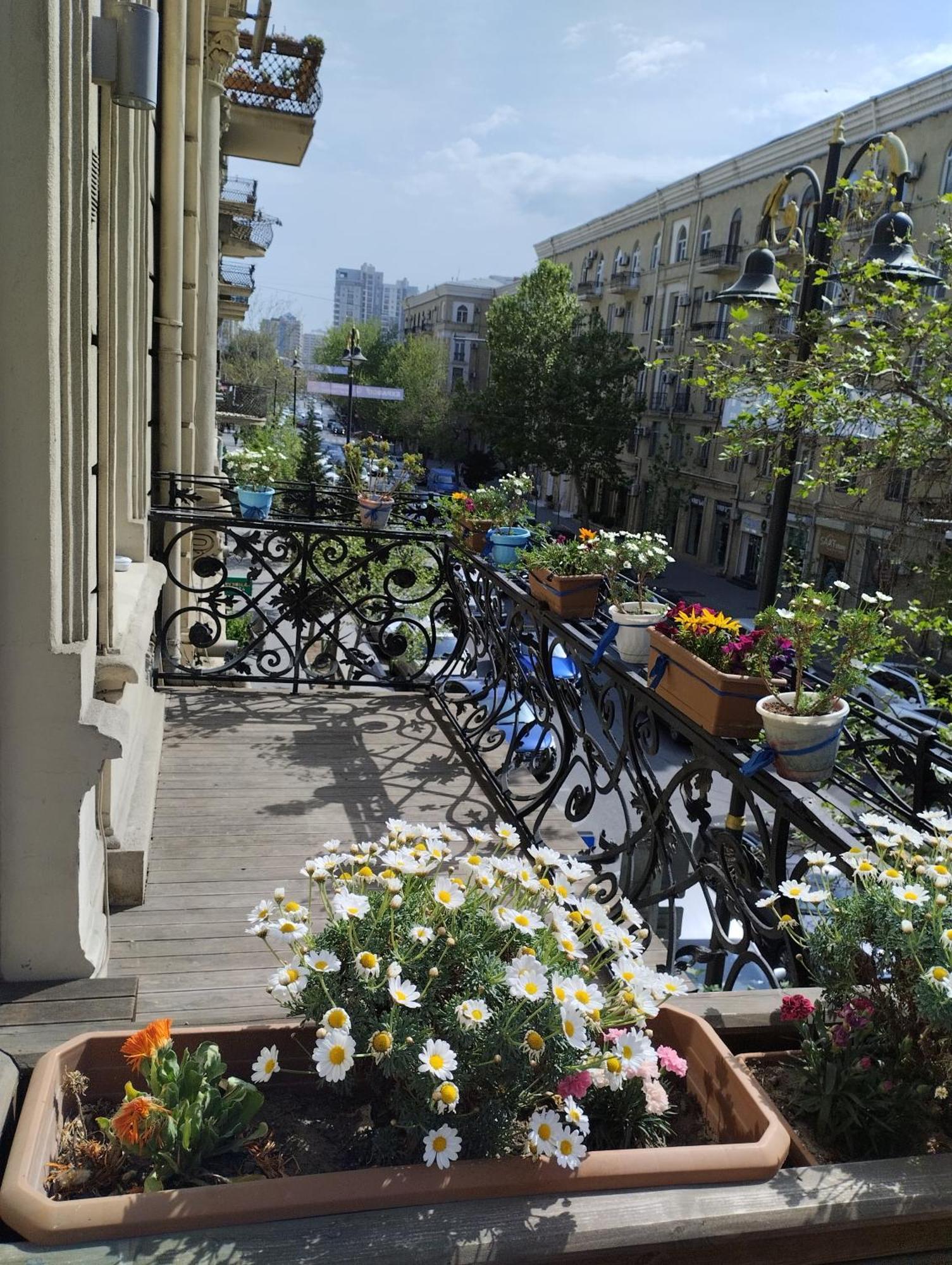 Callisto Hotel Баку Екстер'єр фото